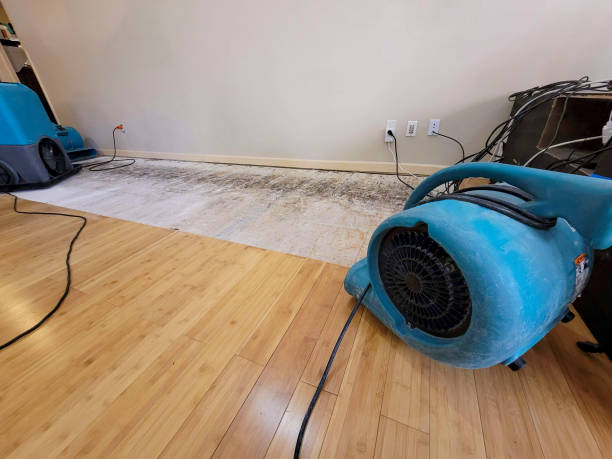 Professional Burst Pipe Water Damage technician working in Buffalo, SC
